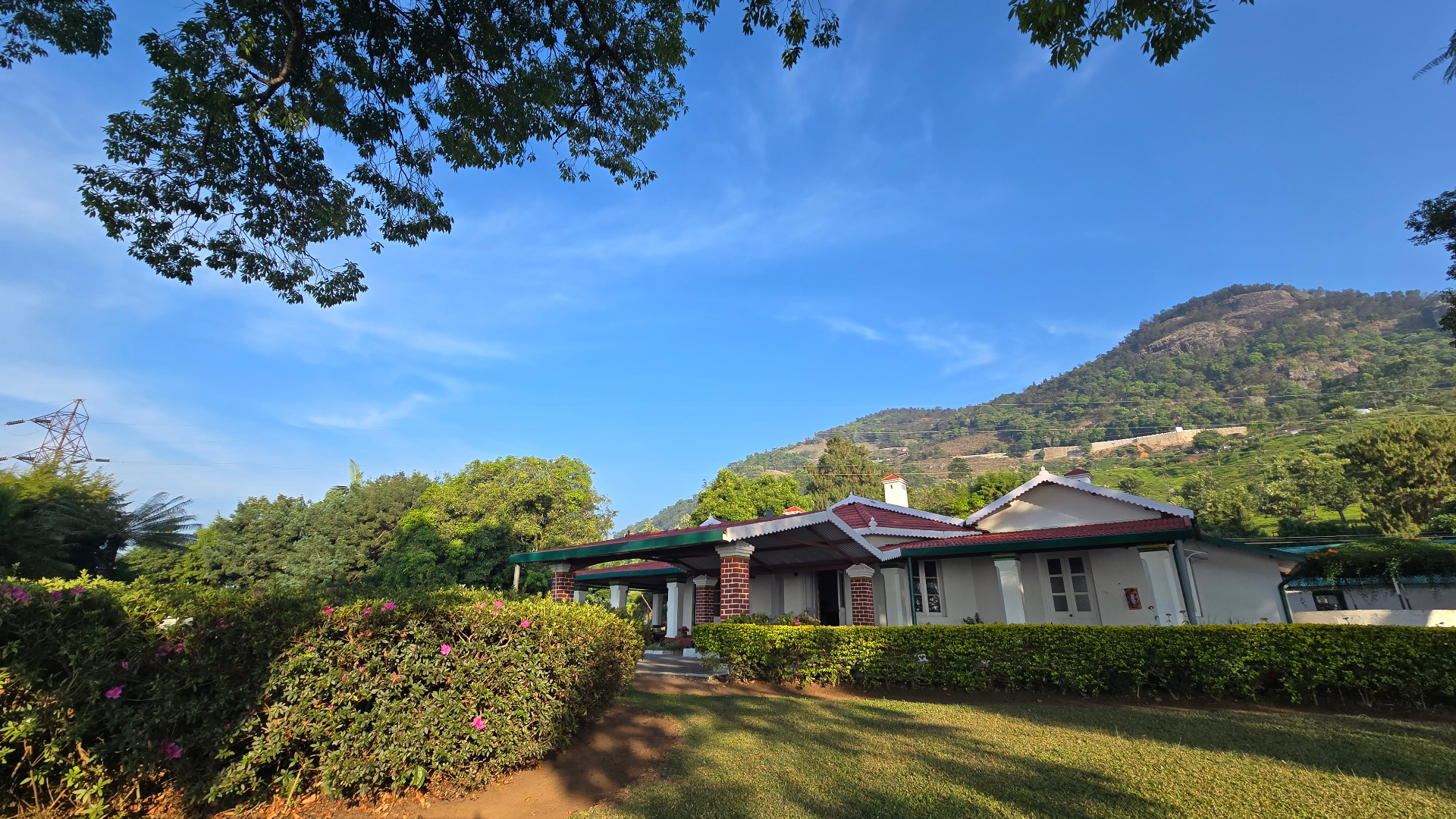 Adderley Bungalow logo, a client of our performance marketing work in Coonoor and Ooty